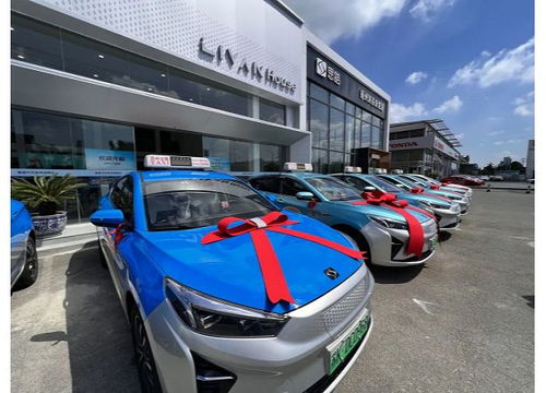 擦亮城市“綠色名片” 揚(yáng)州首批新能源出租汽車正式投用