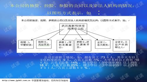 武漢市XX科技開發有限責任公司商業計劃書
